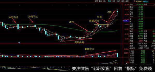 如何运用K线形态、均线系统和成交量来寻找在低价区间的黑马股？