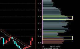 筹码分布的重要特征是什么？可以判断主力行为？