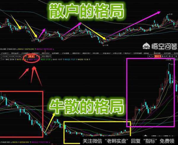 股票持续大涨时，散户这个时候是选择进场还是静观其变？