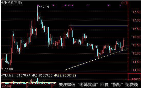 金洲慈航实时资金流向图