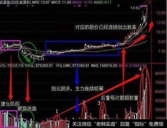 老股民研究“十字星”选股绝技，解析的太透彻连庄家都上门求学！