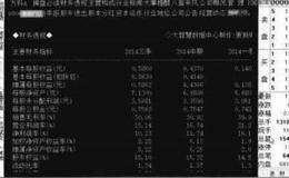 大智慧个股基本资料：财务透视