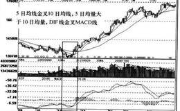 MA+VOL+MACD指标底部信号组合