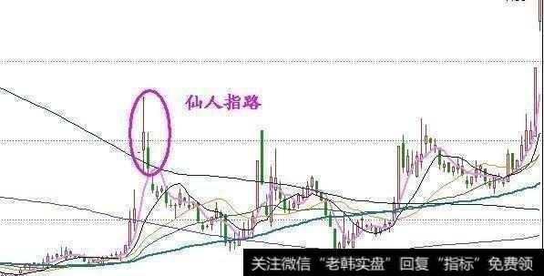 仙人指路选牛股