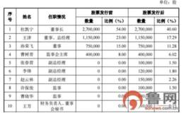 亚微软件增发165万股股份“补血”