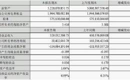 小规模季报财务报表