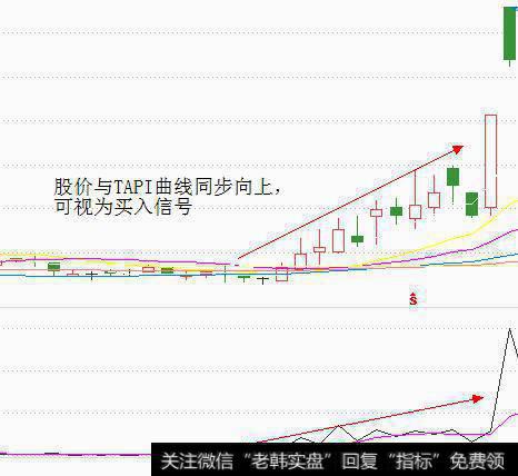 股价与TAPI曲线同步向上