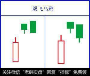 双飞乌鸦