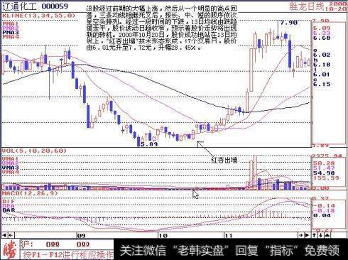 红杏出墙的形态特征