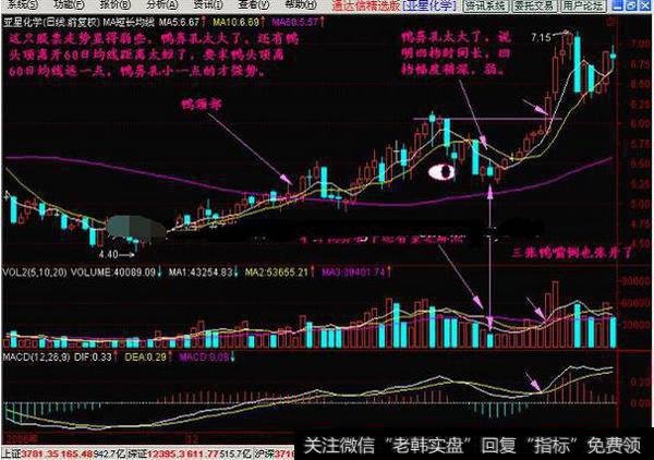 老鸭头解释庄家各种行为，跟着庄家有钱赚