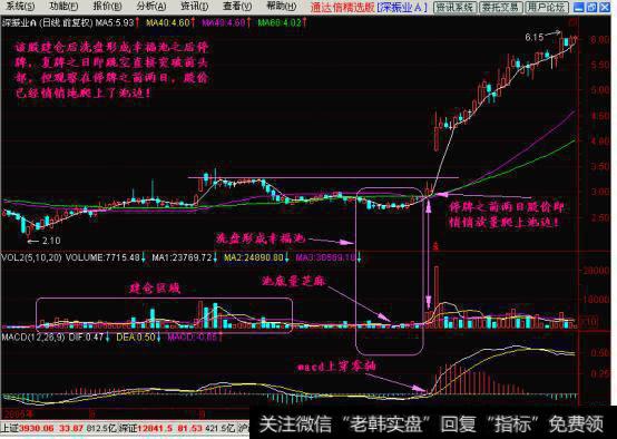 解密庄家震仓！