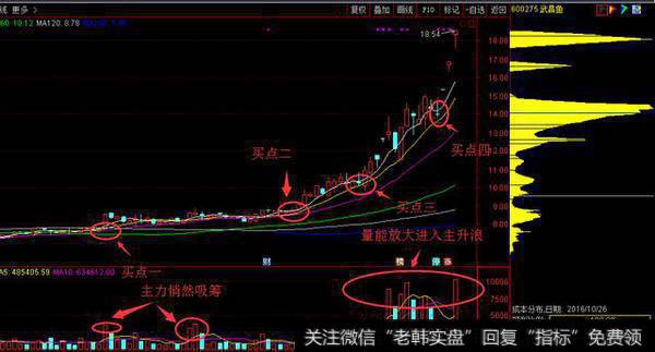 图示 600275 武昌鱼