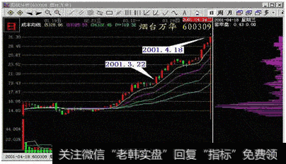 图2—9：2001年4月18日烟台万华，股市最耀眼明星