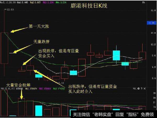 鹿港科技日K线