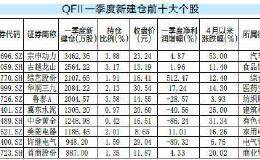 QFII一季度动向：小盘蓝筹两手抓