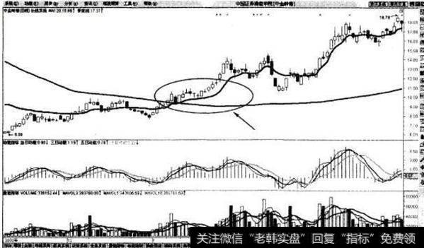 均线系统半年线拐头向上