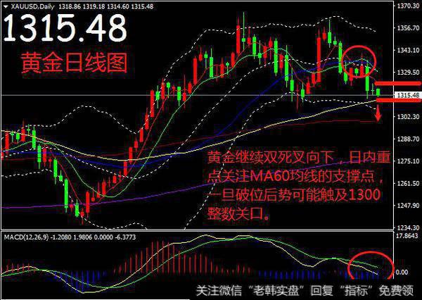 黄金日线图