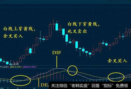 如何根据MACD指标确定买卖点？