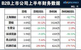 权益投资人分析上市公司财报的目的