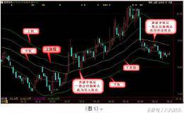 变频布林由五根线组成 ,变频布林的使用技巧得出更精准的判断