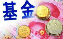 基金入门：股票基金应该怎么买