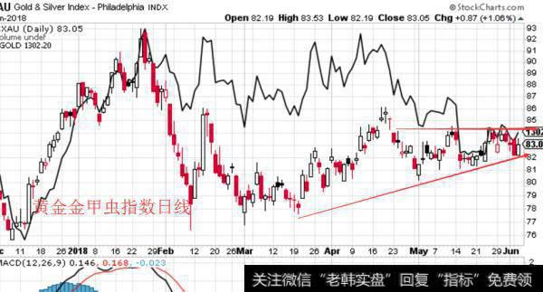 黄金金甲虫指数日线