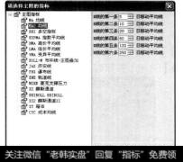 弹出【请选择主图的指标】对话框，在【全图指标】列表中选择MA2均线。