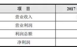 会计报表：财务报表的局限性