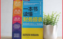 一本书读懂财务报表：财务报表分析从入门到精通