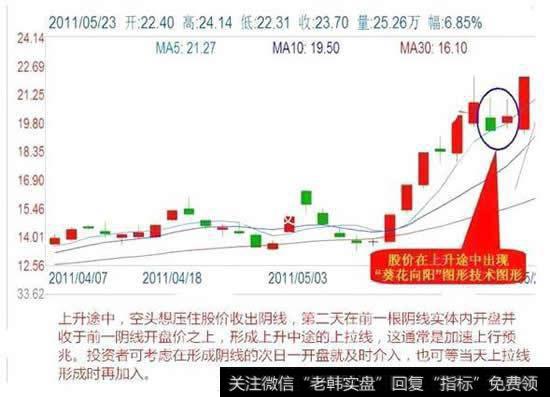 短线狙击技巧之葵花向阳