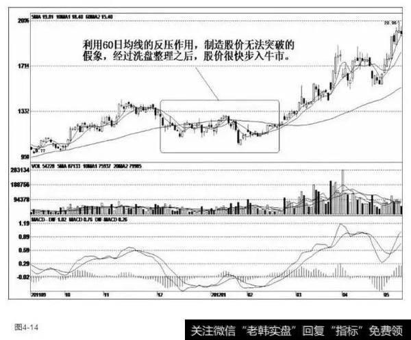 汤臣倍健（300146）