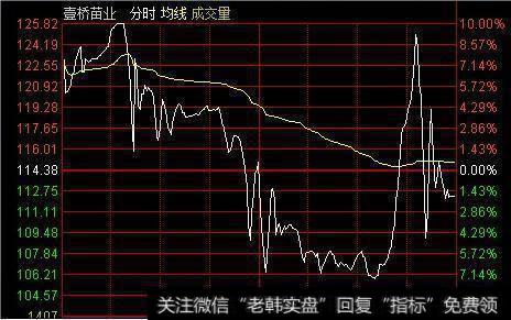 壹桥苗业,超级主力很好的给我们诠释了什么是凶猛