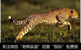 老股民如何运用“猎豹出击”选股战法抓取大<a href='/scdx/290019.html'>牛股</a>？