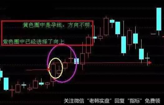 股票的卖出技巧形态5、孕育线卖股法