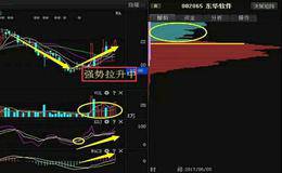 选股不妨专一点 专一有以下几种好处