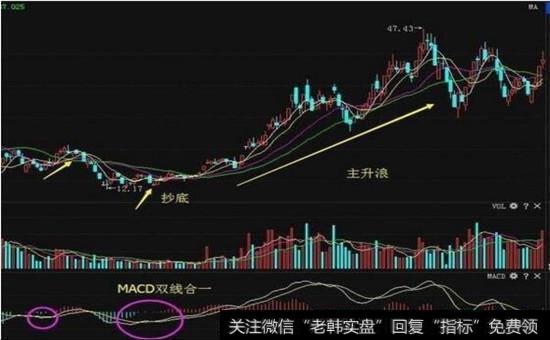 岭南林园2015年9月15日走势图