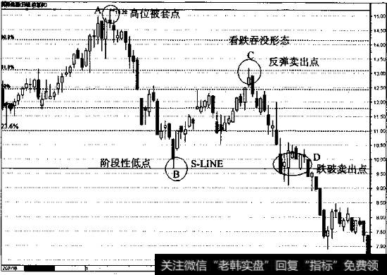 支撑线（通常标记为“S-LINE”）