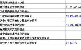 上市公司筹资活动产生的现金流量分析