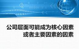 公司层面可能成为核心因素或者主要因素的因素