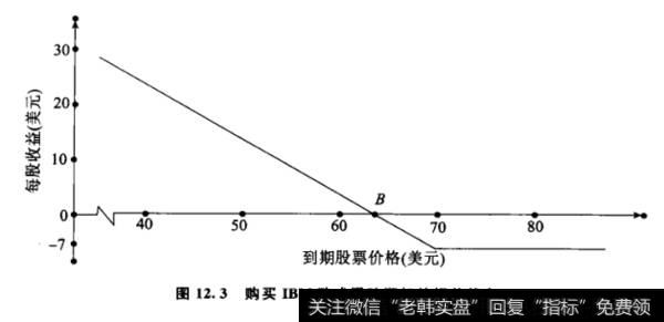 购买IBM欧式看跌期权的损益状态