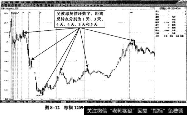 图8-12棕榈1209——斐波那契预测点比较准确