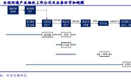 非洲猪瘟蔓延 中国民众改吃鸡肉 推升鸡苗价格飙七年新高