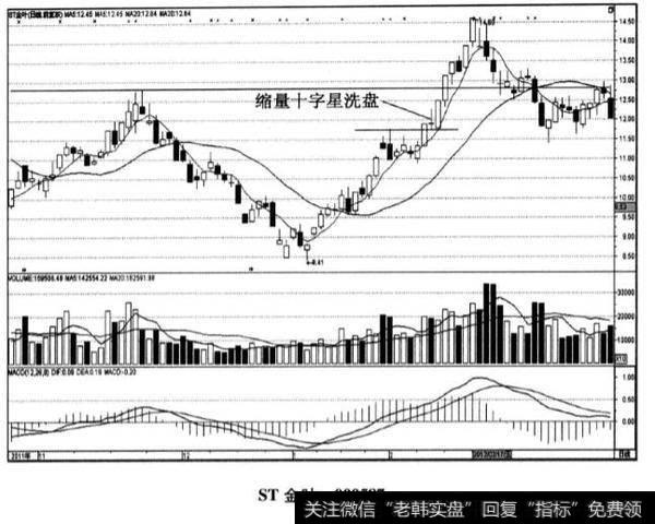 ST金叶股票