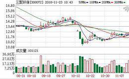 <em>三聚环保</em>：连续6日融资净买入累计4621.77万元（11-22）