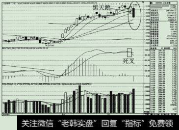 黑天鹅走势K线形态图