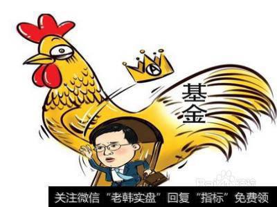 为什么说货币型基金,是打理闲置资金的首选投资工具？