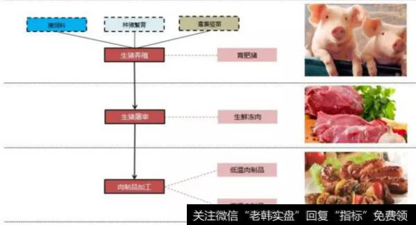 读懂上市公司：猪产业链的哪个环节最赚钱？