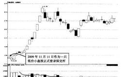 新股的操盘技巧有哪些？实际案例详解？