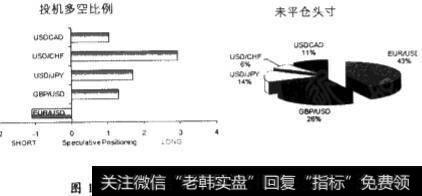 FXCM投机头寸饼图