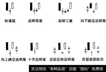 启明星除标准形态